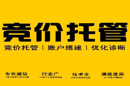 百度平台推广案例：低成本营销的成功之道